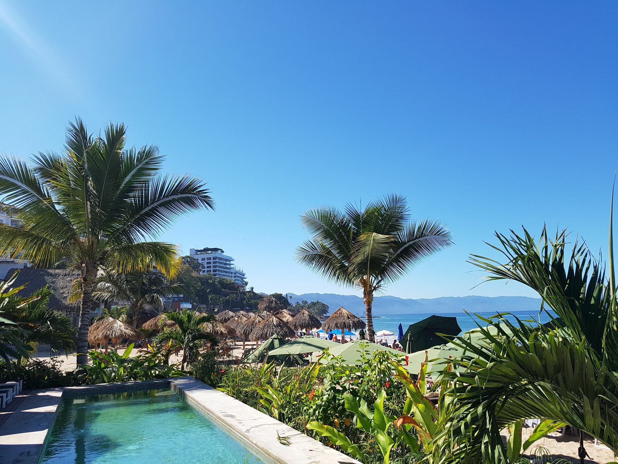 Suites at Sapphire Ocean Club Puerto Vallarta Extérieur photo